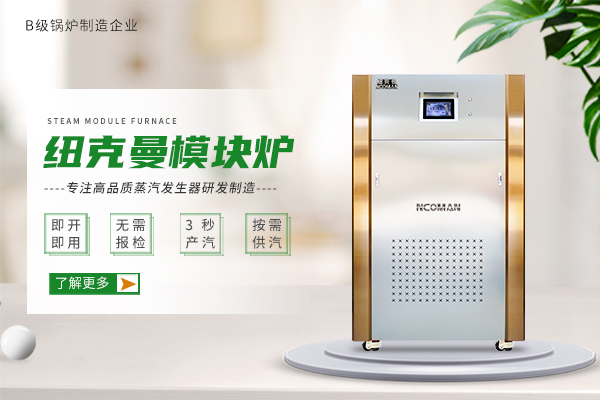 蒸汽模块炉